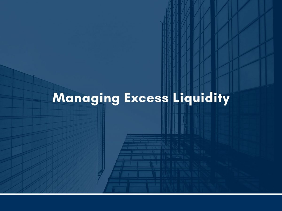 Managing Excess Liquidity: Assessing Possible Options Available for Banks