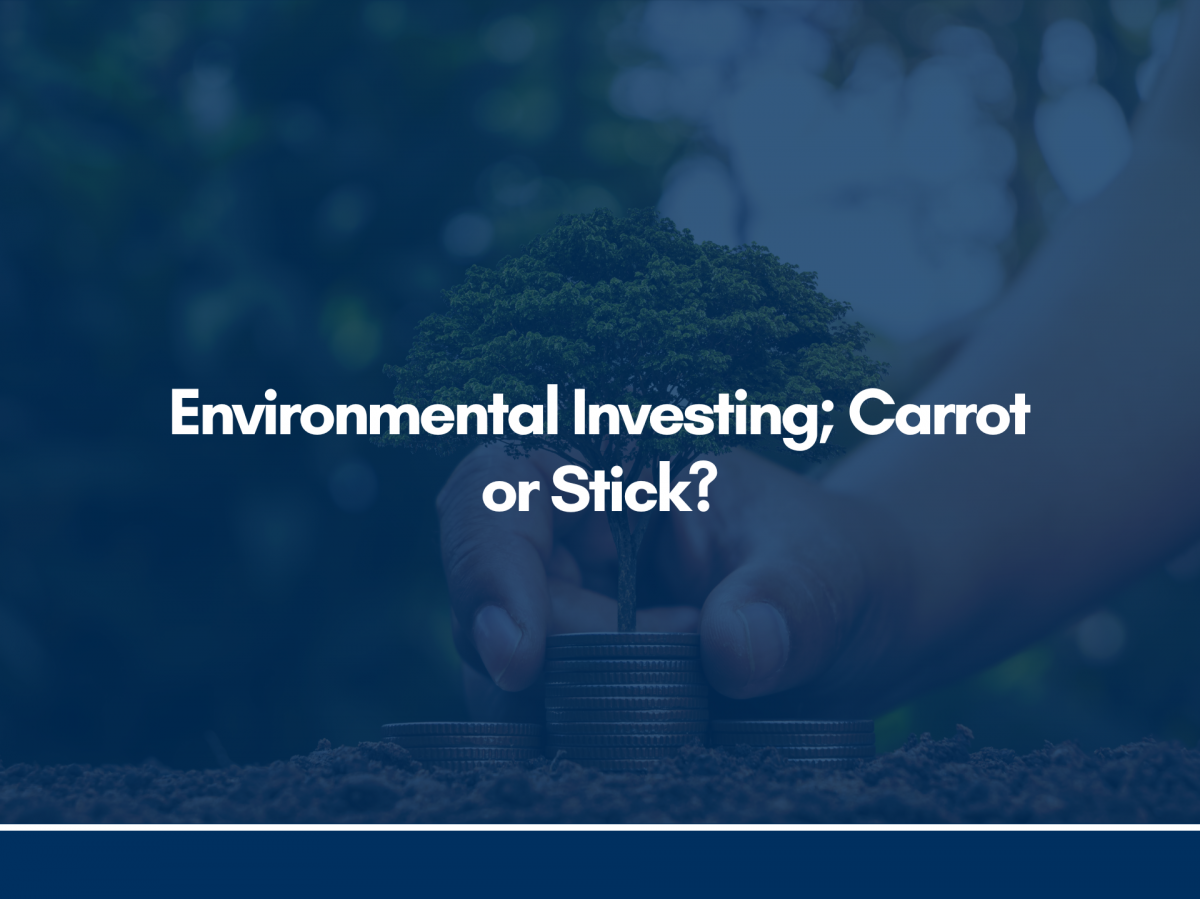 Environmental Investing; Carrot or Stick?