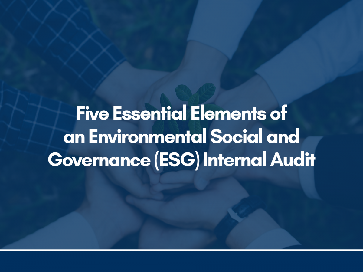 Five Essential Elements of an  Environmental Social and Governance (ESG) Internal Audit