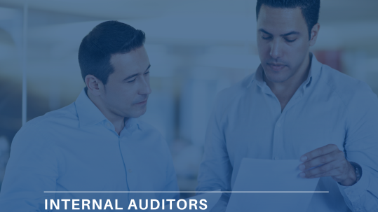 Internal Auditors Who Add Strategic Value